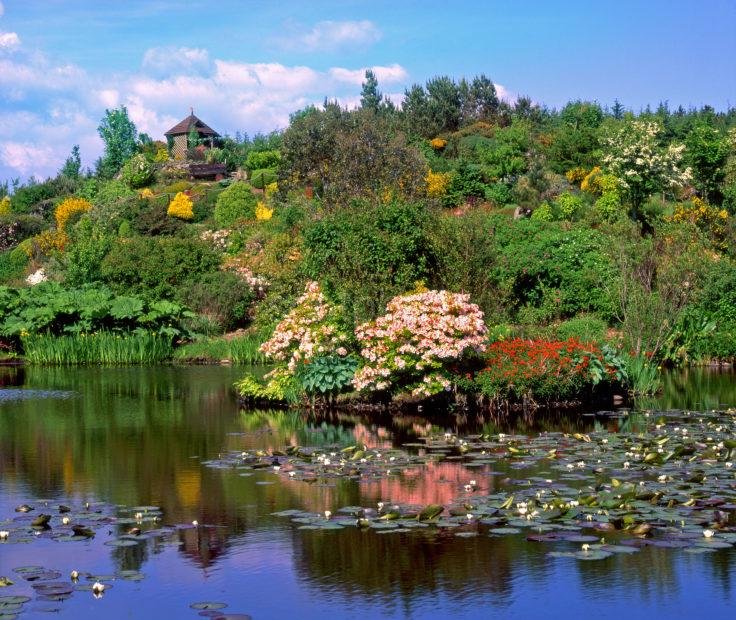 Glen Whan Gardens Nr Dunragit Luce Bay Wigtownshire