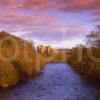 Early Spring View Towards Doune Castle And The River Teith Stirling Trossachs Area