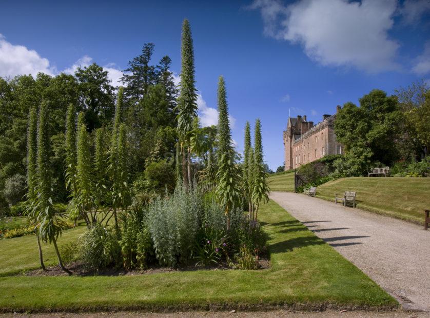 BRODICK CASTLE AND GARDENS ARRAN