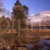 Winter View Towards The Bridge Of Orchy As Seen From The Shore Of Loch Tulla West Highlands