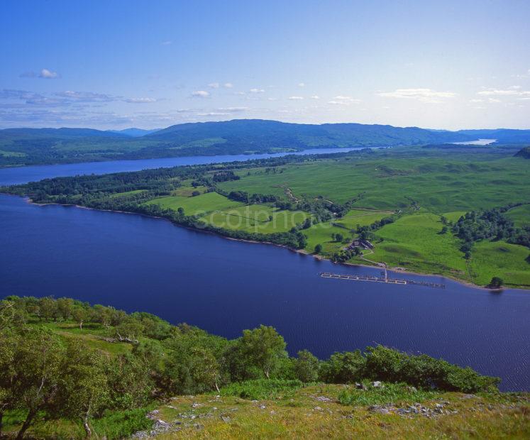 Spectacular View From Ben Cruachan Looking Across Loch Awe Near The Pass Of Brander Argyll