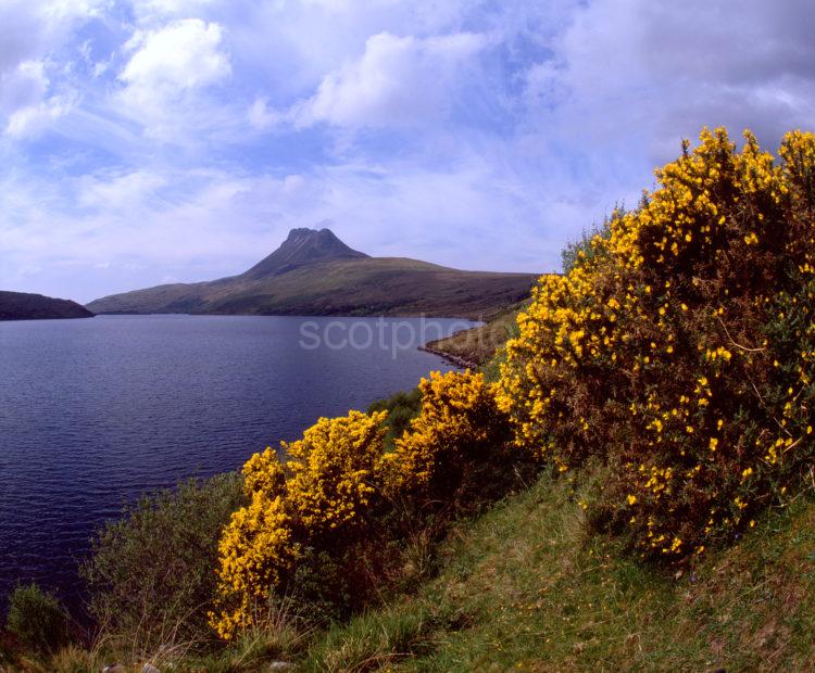 Sprintime View Loch Lurgain And Stac Polly Inverpolly Nature Reserve