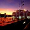 Small Freighter In Glasgow Docks Near Finnieston