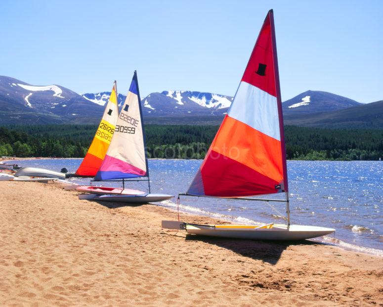 Wind Surfer Sails On Shore Of Loch Morlich Cairngorms