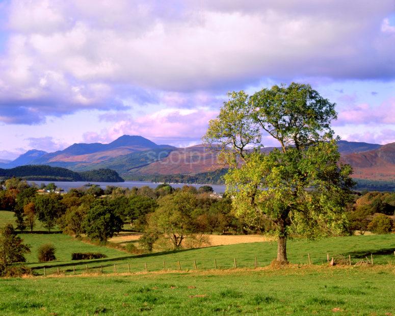 Loch Lomond And Ben Lomond From Gartocharn Nr Drymen Dunbartonshire