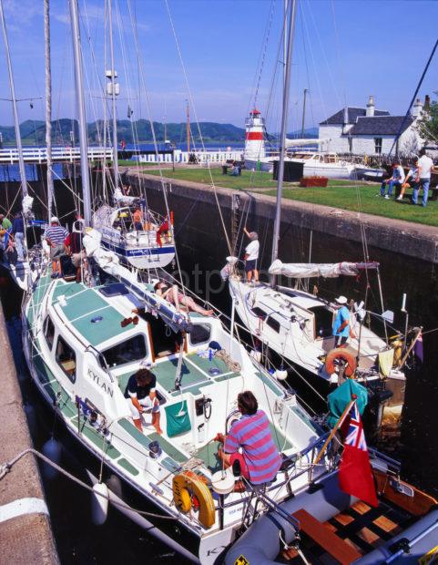 Busy Scene In Crinan Basin Crinan Canal