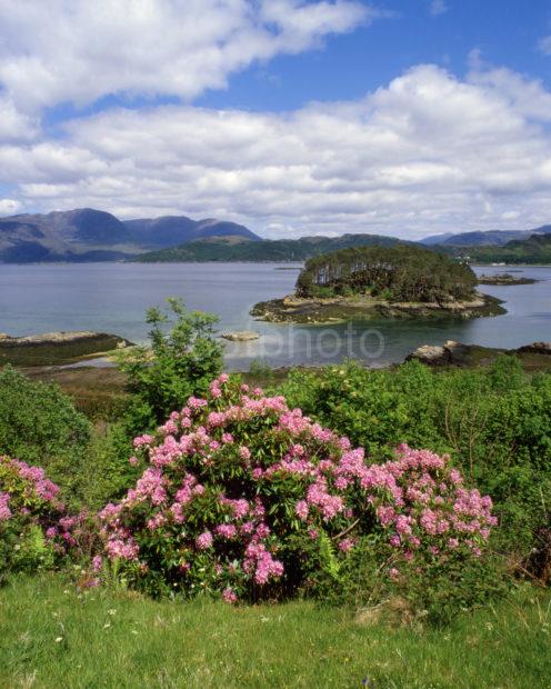 Springtime View Across Loch Carron Towards Applecross