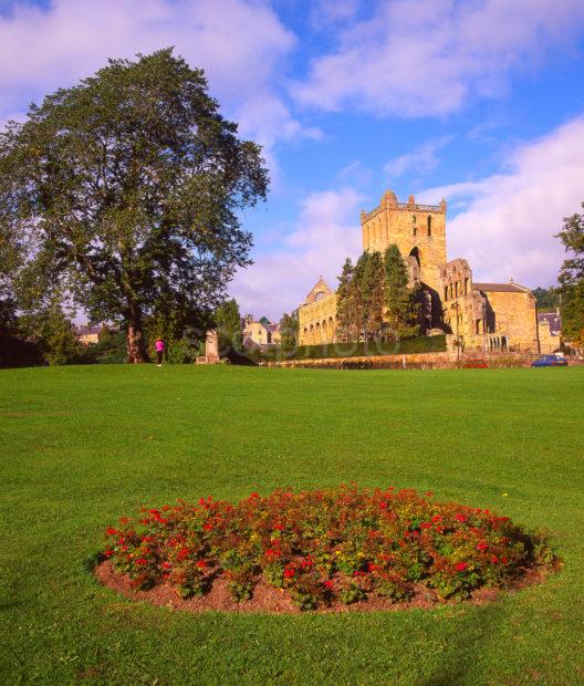 An Interesting View Towards Jedburgh Abbey From The Gardens To The East Jedurgh Town Scottish Borders