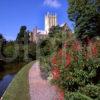 Well Cathedral From Bishops Palace Grounds