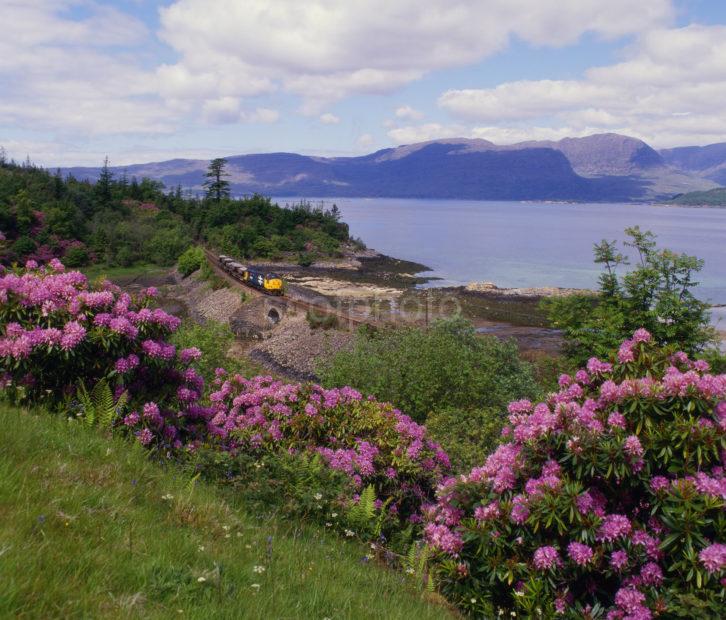 Untitled 36 Class 37 Loch Carron With Applecross Hills Landscape