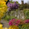 Portrait Picture Of Ardmaddy Gardens