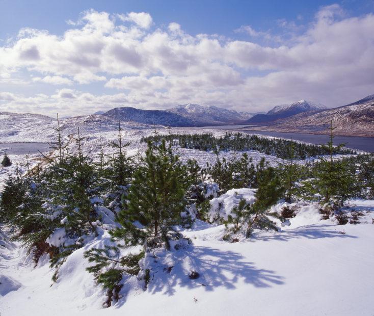 Winter View Looking Towards Loch Loyne As Seen From Glen Loyne West Highlands