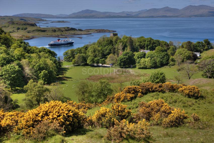 0I5D7049 Isle Of Mull Passing Dunollie Castle 2016