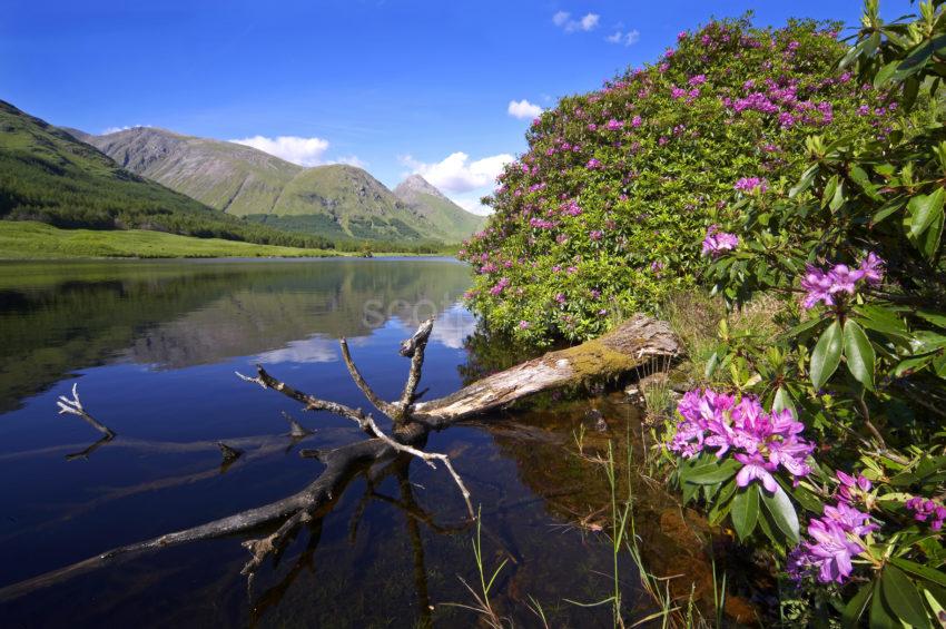 WY3Q0865 Lochan In Glen Etive In Spring Argyll