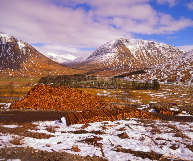 Winter Of Auch Glen Near Tyndrum West Highlands