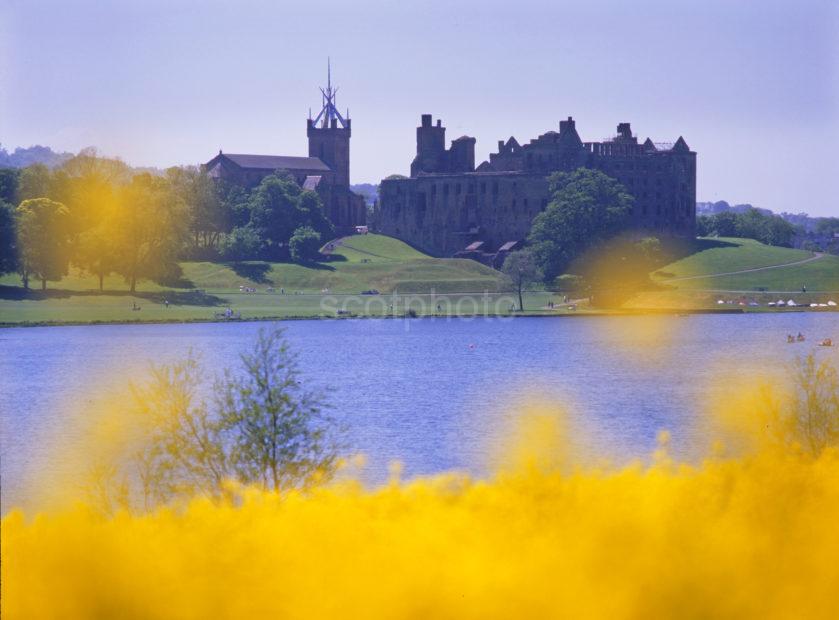 Linlithgow Palace From Rape Seed Field Across Loch