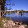 Peaceful Reflections On Lochan Eilean Of Castle Ruin Rothiemurchus Forest Glenmore Park