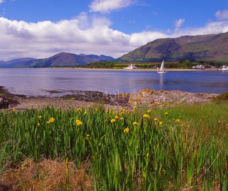 Summer View Of The Corran Sound Towards Ardgour Loch Linnhe West Highlands