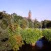 Glasgow University Gothic Tower From River Kelvin West End Of Glasgow