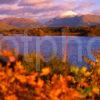 Magnificent Autumn Colours On The Shore Of Loch Awe With Distant Ben Lui Loch Awe Argyll