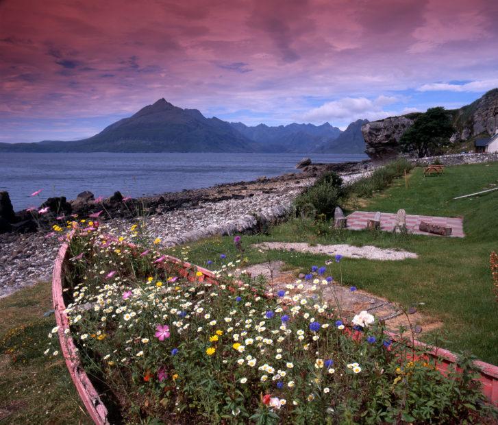 Elgol Flowers In Boat Filtered Sky