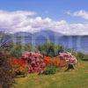 Magnificent Spring View Towards Loch Etive And Ben Cruachan From The West North Connel Argyll