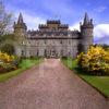 Inverary Castle Yellow Flowers