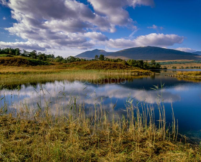 Loch Tulla Summer