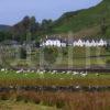 Towards Kilmartin Village Fromthe South