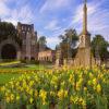 Kelso Abbey From Gardens Scottish Borders