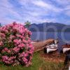 Loch Maree