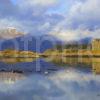 Castle Stalker Reflections From Port Appin