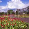Levengrove Gardens Dumbarton