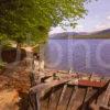 Summer On The Shore Of Loch Lochy Great Glen Scottish Highlands