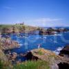 Rugged Coastline With Slains Castle Cruden Bay Aberdeenshire