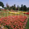 Dunfermaline Abbey From Pittencrief Gardens