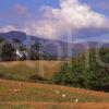 Early Autumn View Of The Arran Countryside Seen On The Higher Slopes Above Brodick Island Of Arran