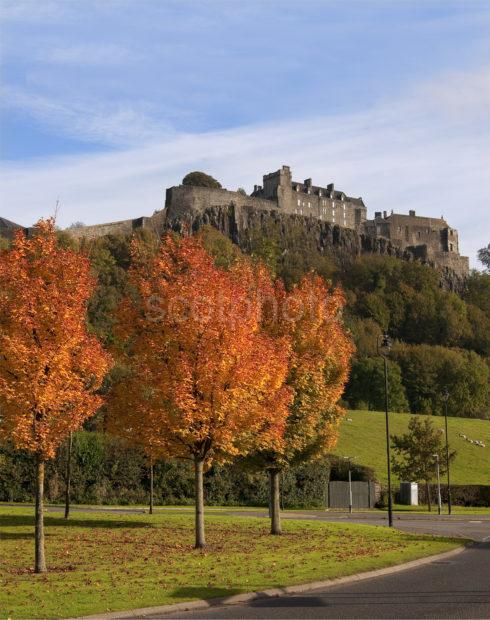 Portrait Stirling Castle In Autumn