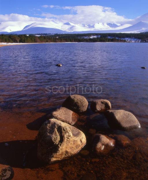 Winter Scene On Loch Morlich