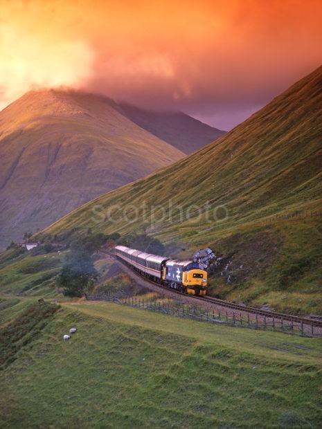 Image 24 Class 37 Hauling The West Highlander Horseshoe Gradient QTY 8