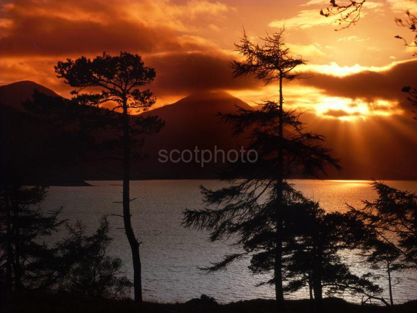 Sunset Through Pines On Loch Quoich Knoydart West Highlands