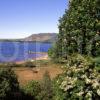 Springtime On The Shore Of Loch Leven Kinross Shire