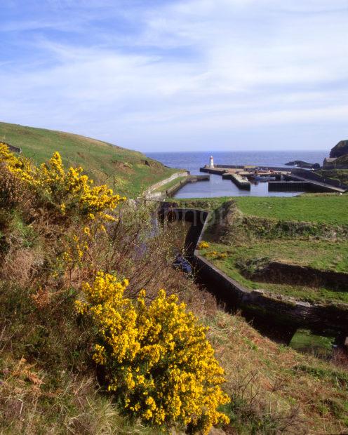 Lybster Harbour Caithness