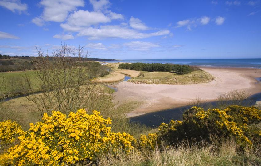 Lunan Bay From Redcastle Angus