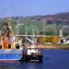 Helmsdale Harbour 1