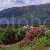 Summer View Overlooking Loch Lochy The Great Glen Scottish Highlands