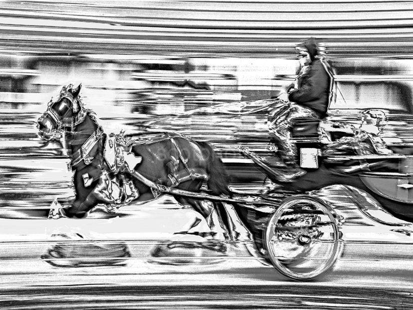 CARD 29 NEW HORSE AND CART BW