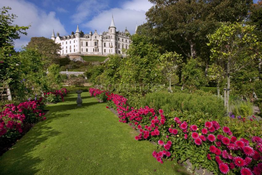 I5D9958 Dunrobin Castle From Red Flowers