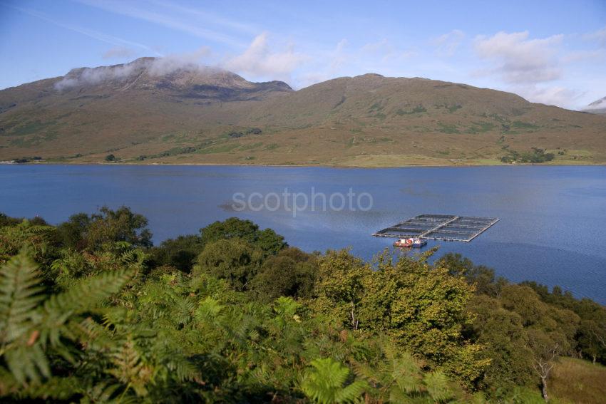 Loch Spelve On The Island Of Mull