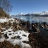 Schiehallion Winter